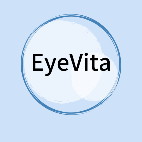 EyeVita(創業前)